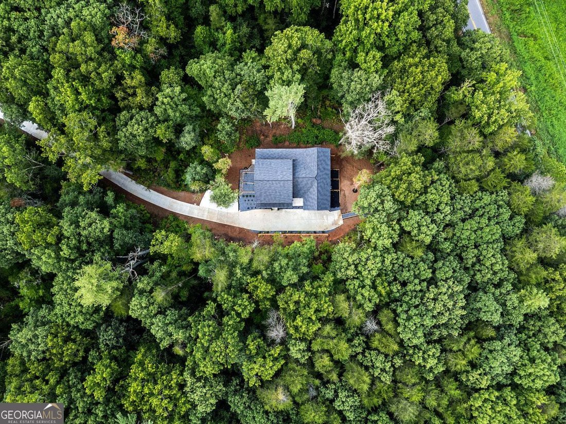 House in Ellijay, Georgia, United States 4 - 18613144