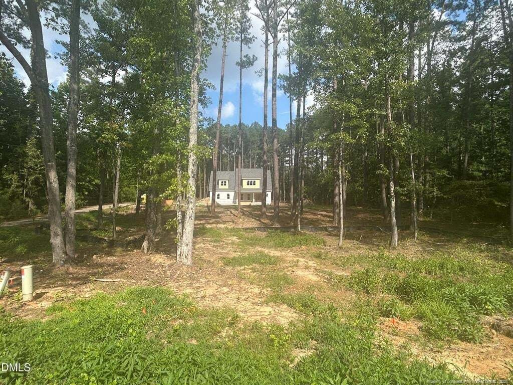 House in Sanford, North Carolina, United States 5 - 18612329