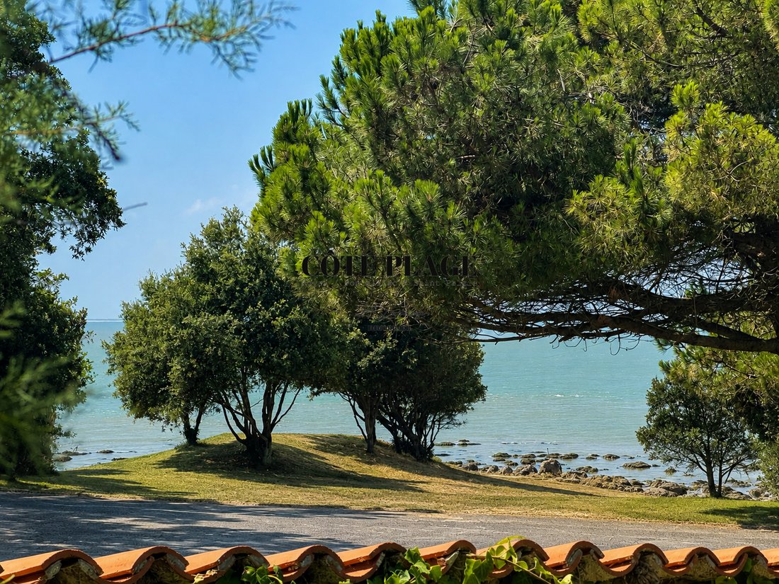 House in Saint-Palais-sur-Mer, Nouvelle-Aquitaine, France 1 - 18612262