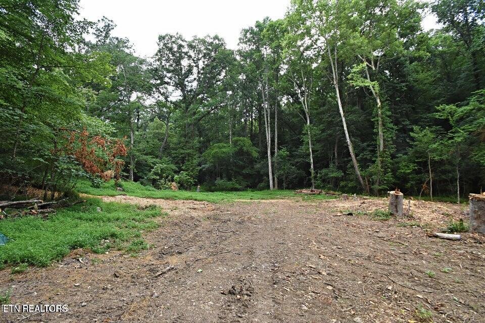 Land in Knoxville, Tennessee, United States 2 - 18609655
