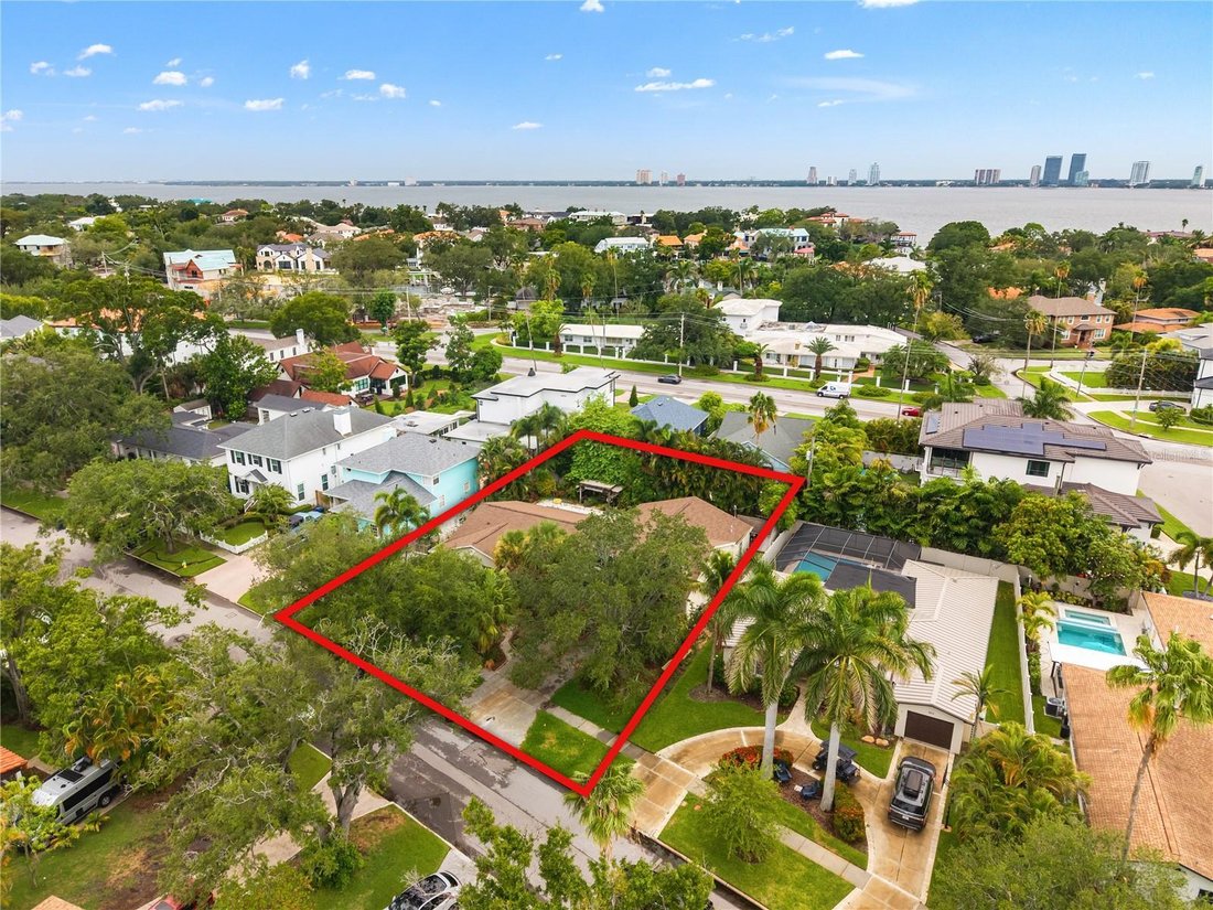 House in Tampa, Florida, United States 1 - 18612602
