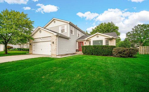 House in Prospect Heights, Illinois, United States 1