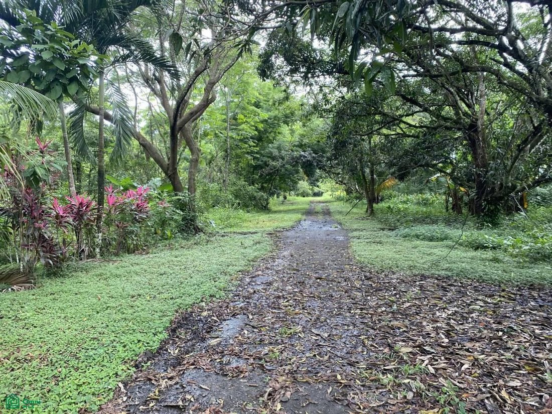 Land in Playa Herradura, Puntarenas Province, Costa Rica 5 - 17811439