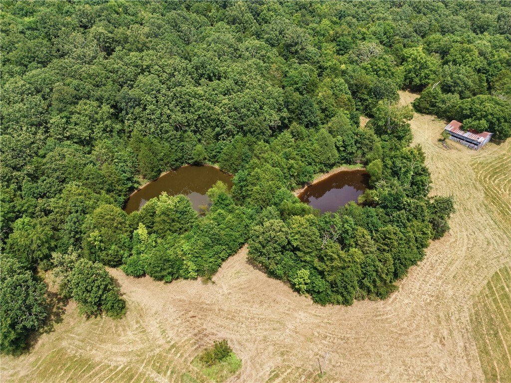 Land in Fayetteville, Arkansas, United States 5 - 18609719