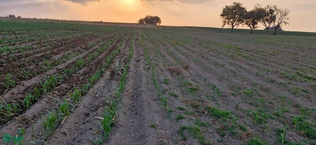 Land in Santiago Tlacotepec, State of Mexico, Mexico 1 - 18183222