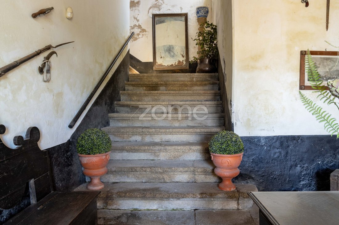 Finca in Vilarinho dos Freires, Vila Real District, Portugal 5 - 18613780