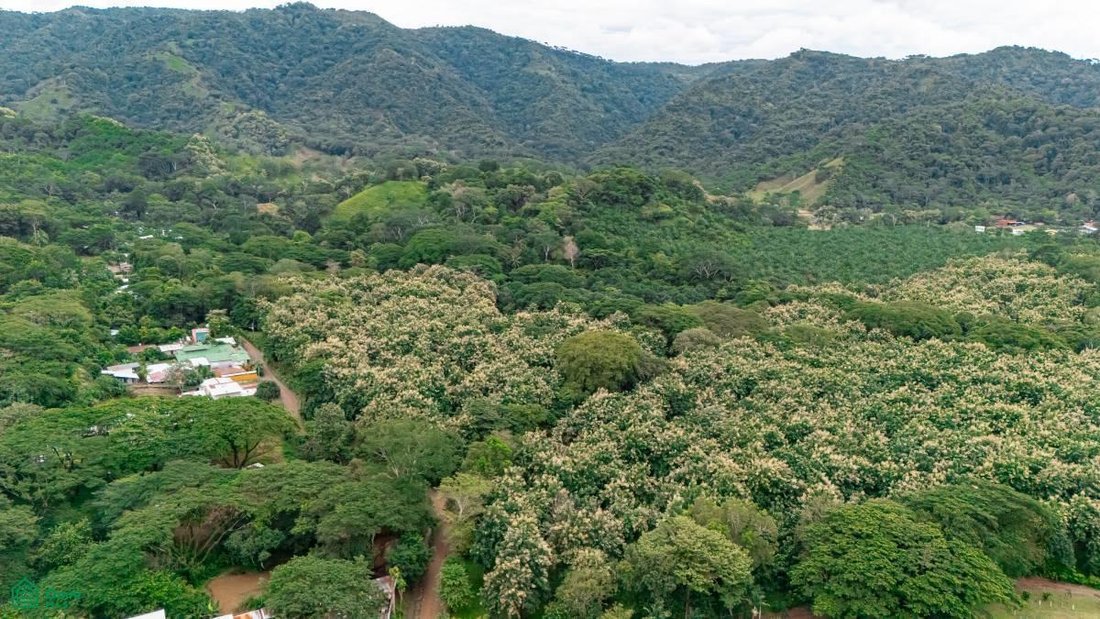 Land in Jaco, Puntarenas Province, Costa Rica 2 - 17811443