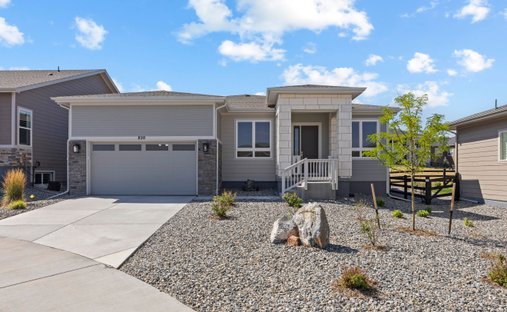 House in Castle Rock, Colorado, United States 1