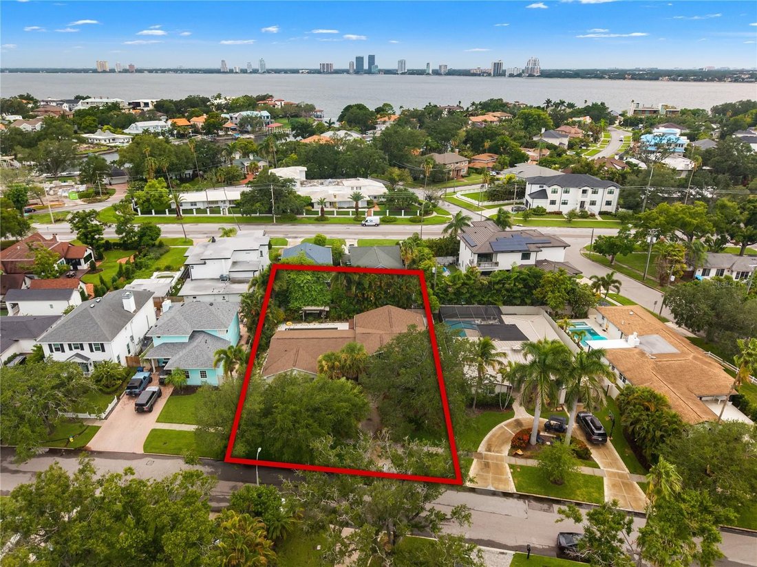 House in Tampa, Florida, United States 5 - 18612602