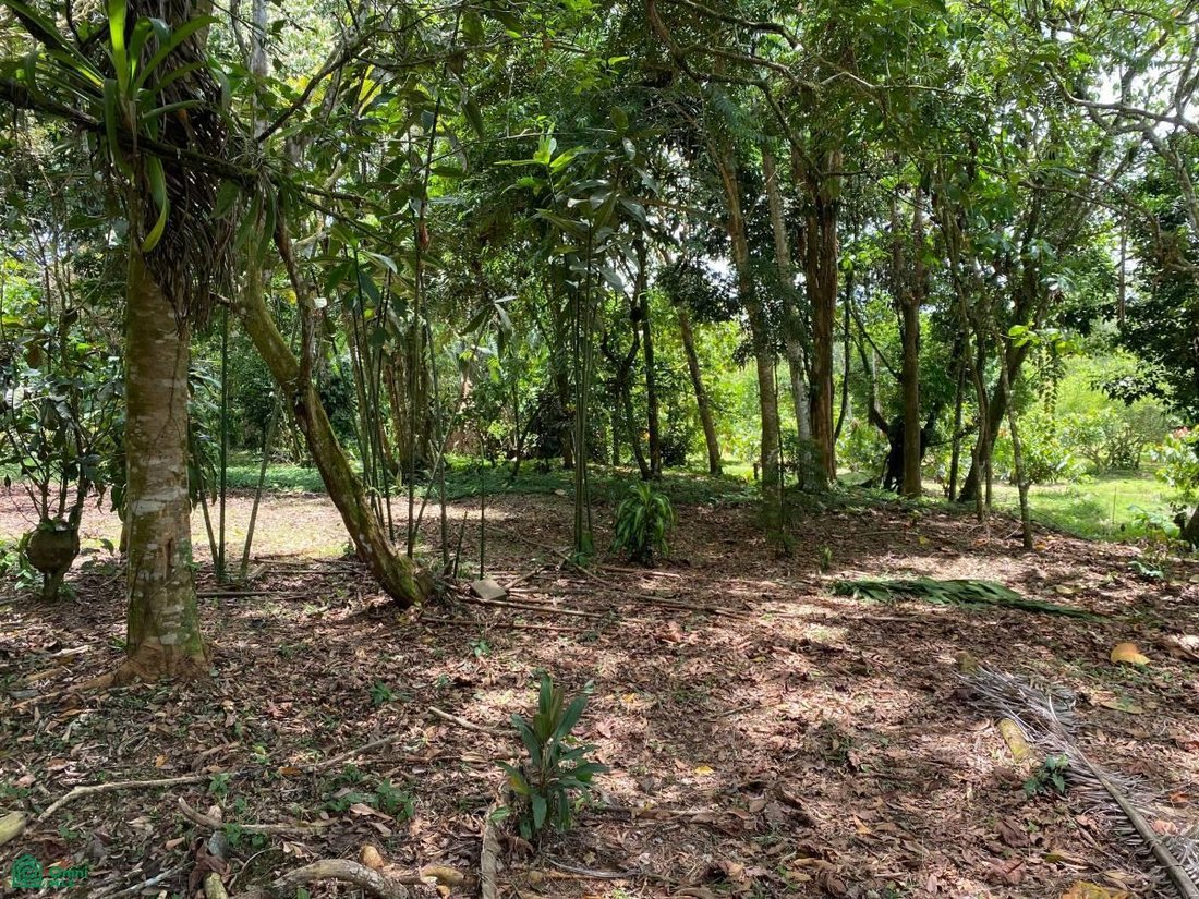 Land in Sarapiqui, Costa Rica 4 - 17811449