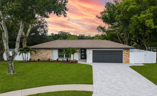House in Dunedin, Florida, United States 1