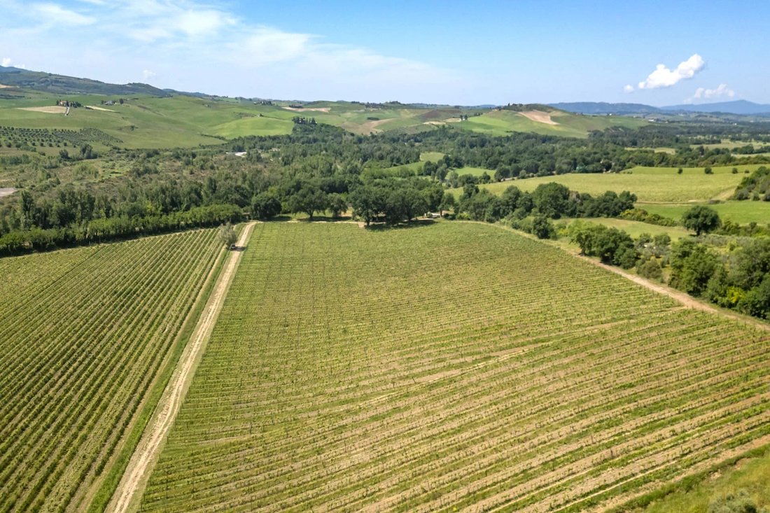 Estate in Montalcino, Tuscany, Italy 5 - 18610747