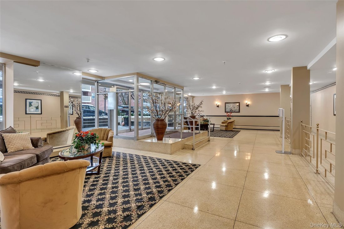 Co Op in Great Neck, New York, United States 3 - 18613243
