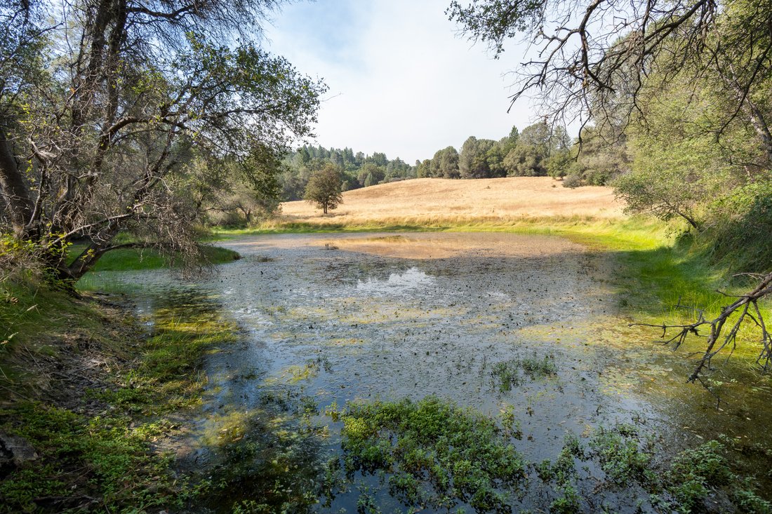 House in Somerset, California, United States 5 - 18610524