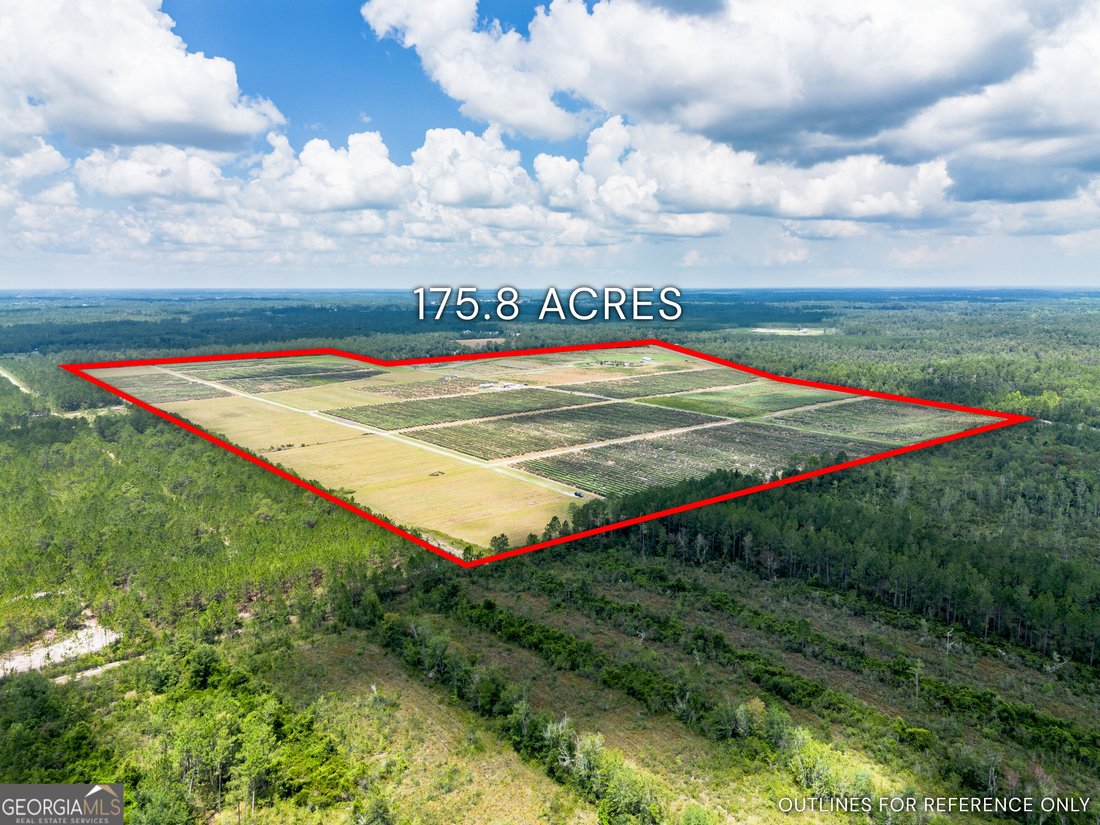 Farm Ranch in Baxley, Georgia, United States 1 - 18552282