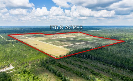 Farm Ranch in Baxley, Georgia, United States 1