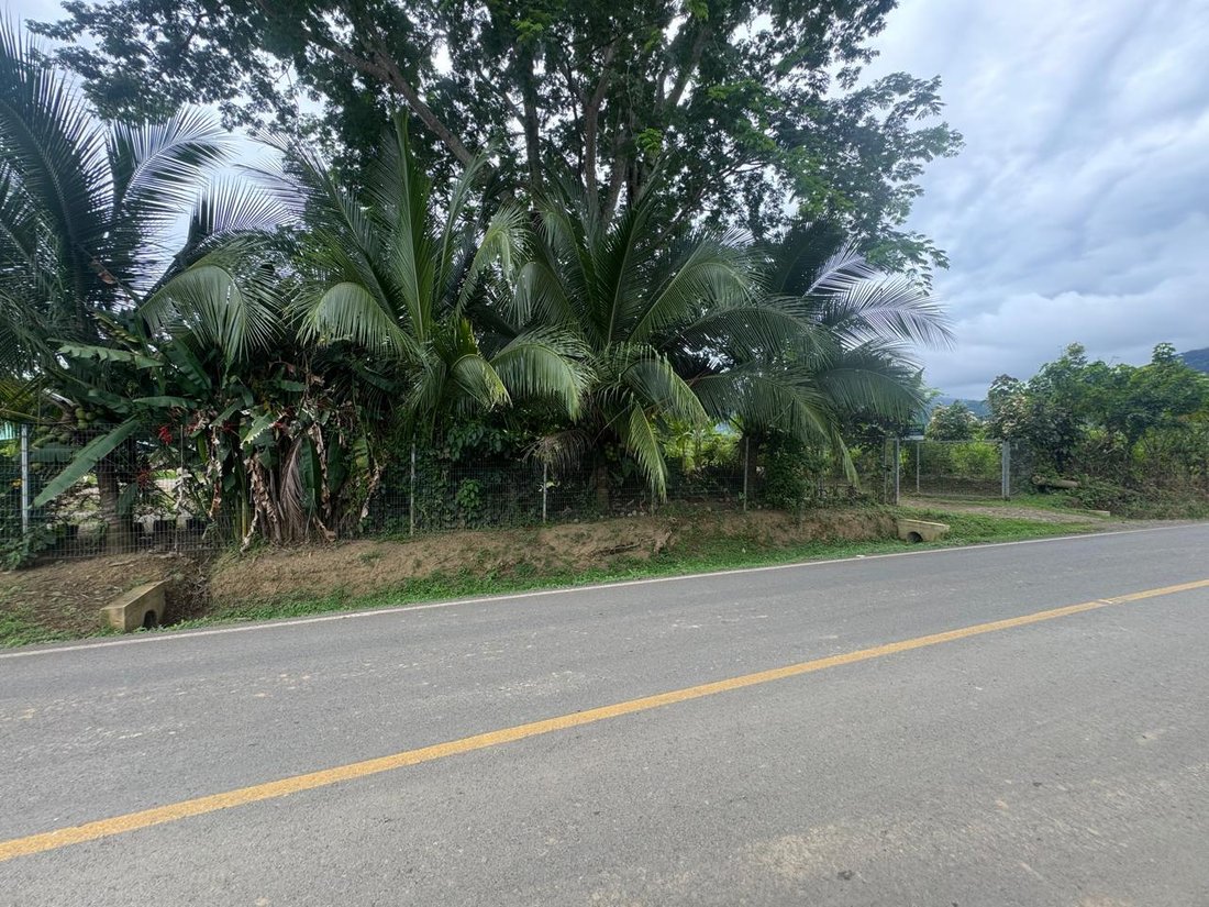 Land in Uvita, Provinz Puntarenas, Costa Rica 1 - 18611197
