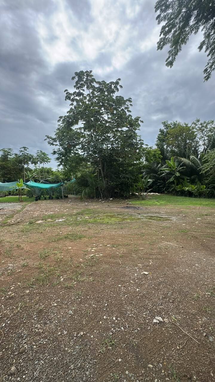 Land in Uvita, Provinz Puntarenas, Costa Rica 4 - 18611197