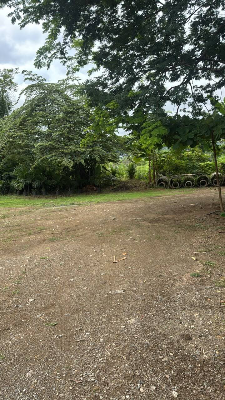 Land in Uvita, Provinz Puntarenas, Costa Rica 2 - 18611197