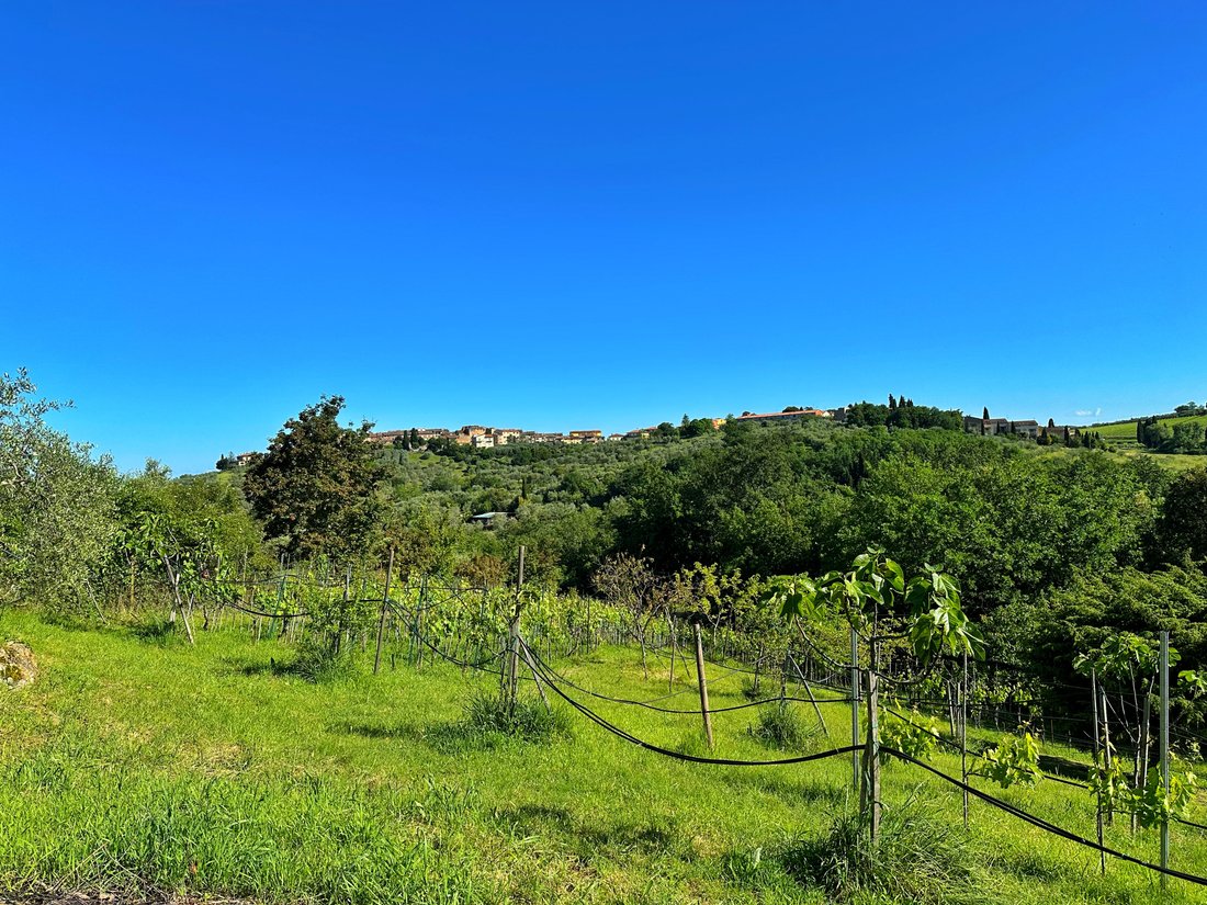 Villa à Sambuca - San Donato in Poggio, Tavarnelle Val di Pesa, Toscane 5 - 18616873