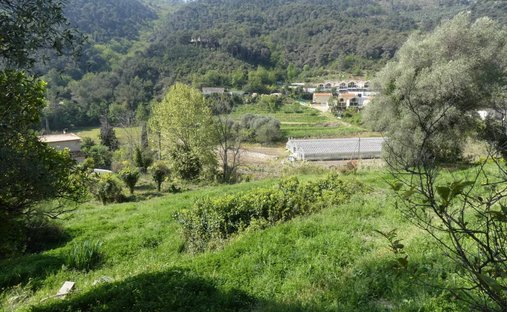 Land in Gorbio, Provence-Alpes-Côte d'Azur, France 1