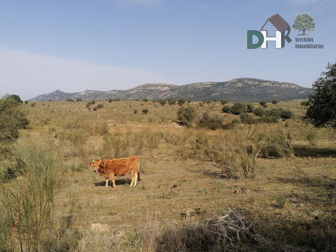 Terreno a Badajoz, Estremadura, Spagna 1 - 13111438