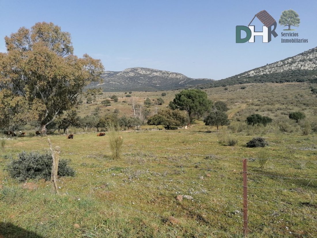 Terreno a Badajoz, Estremadura, Spagna 5 - 13111438