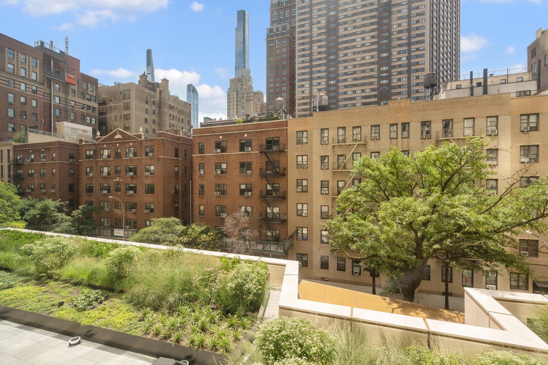 New York, New York, United States 3 - 18622306