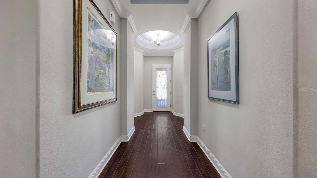 House in Bradenton, Florida, United States 3 - 17296810