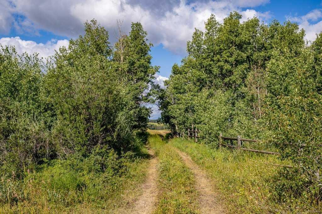 Land in Cochrane, Alberta, Canada 2 - 18623769