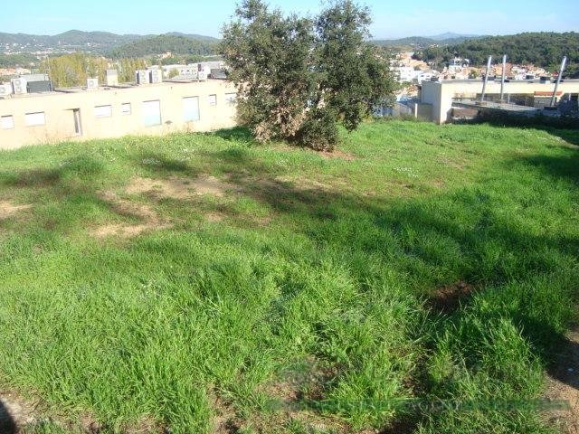 Land in Palamos, Catalonia, Spain 4 - 13111302