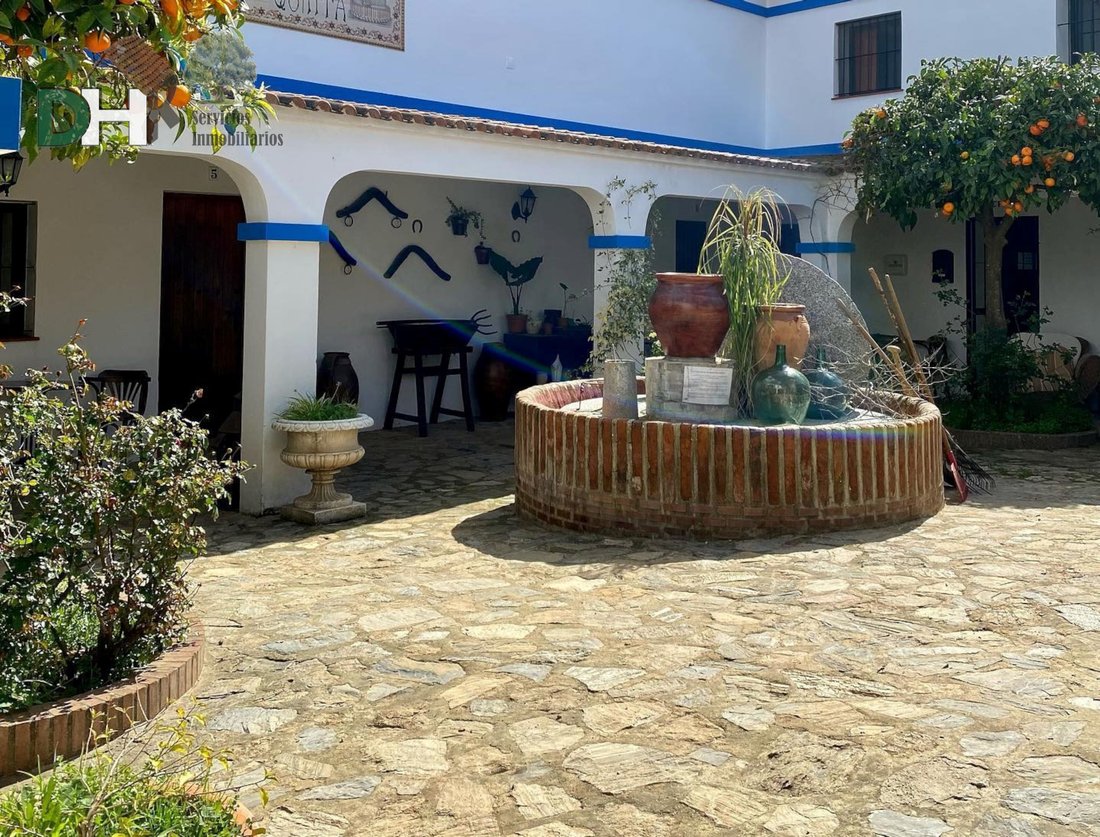 Villa in La Rinconada, Andalusien, Spanien 3 - 13111507