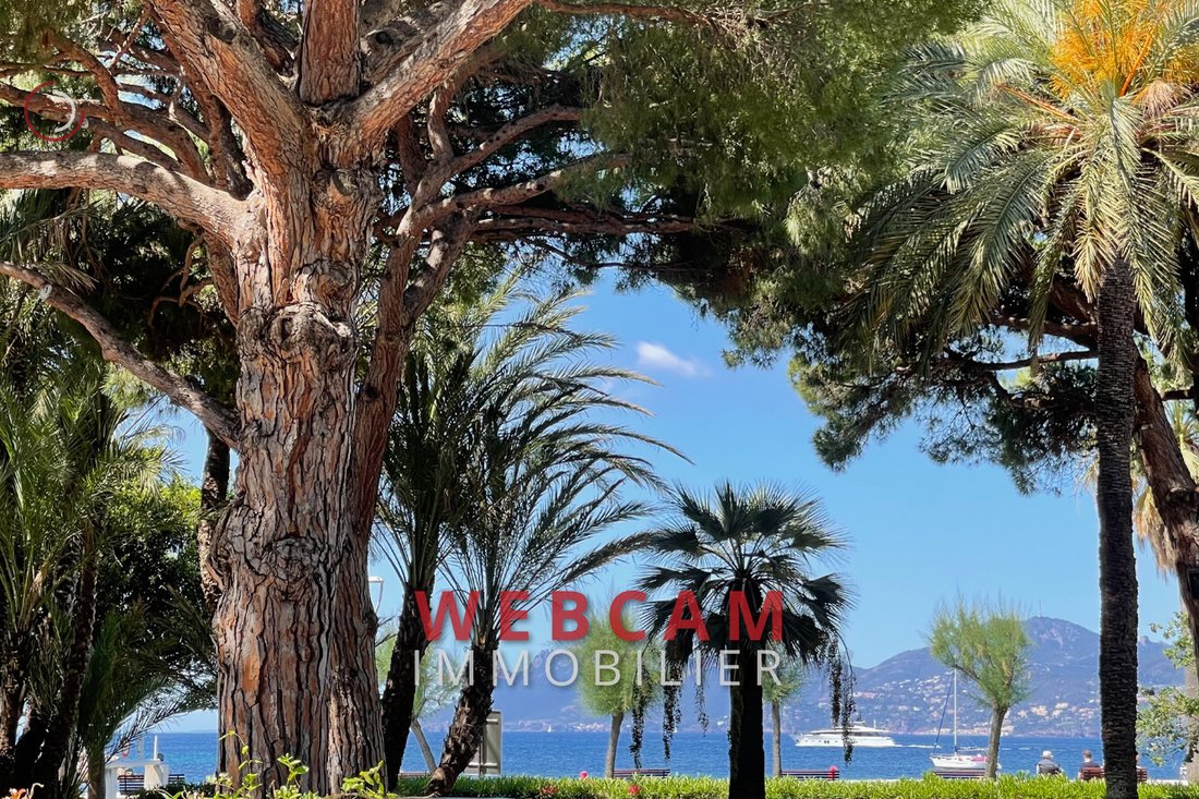 Apartment in Cannes, Provence-Alpes-Côte d'Azur, France 1 - 18620577