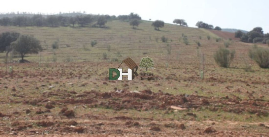 Terreno a Badajoz, Estremadura, Spagna 4 - 13111439