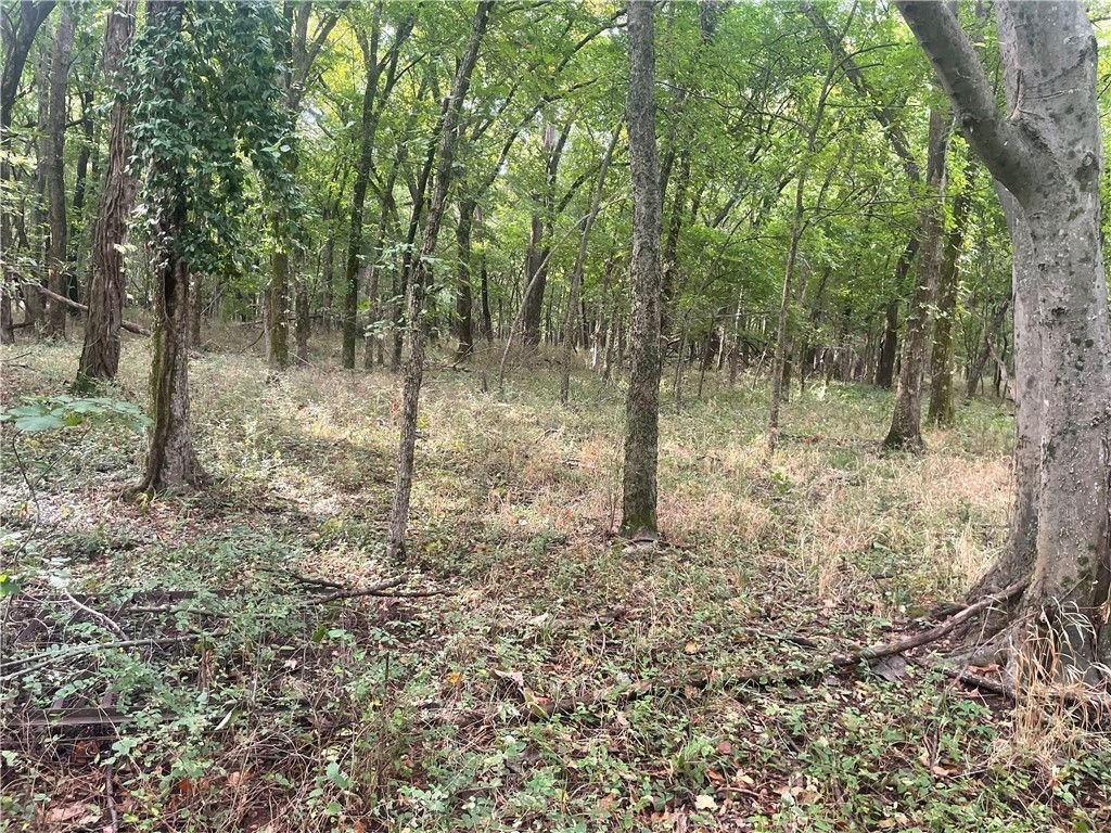 Land in Vinita, Oklahoma, United States 5 - 18623726