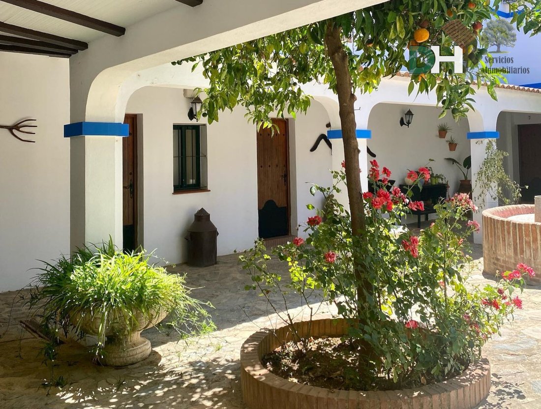 Villa in La Rinconada, Andalusien, Spanien 5 - 13111507