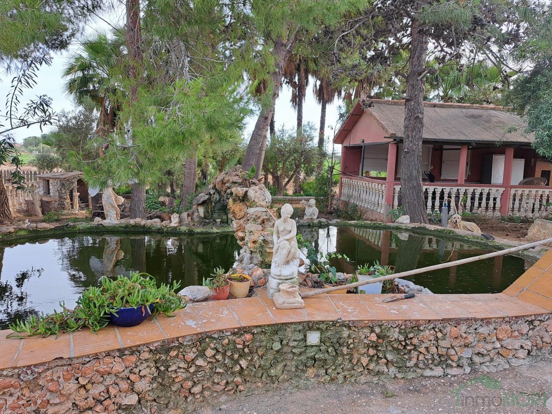 Chalet in Torre Pacheco, Región de Murcia, Spain 4 - 17262171