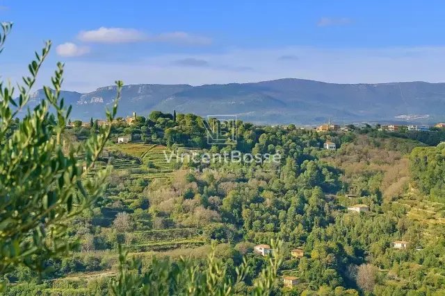Land in Liberation, Nice, France 4 - 15663714