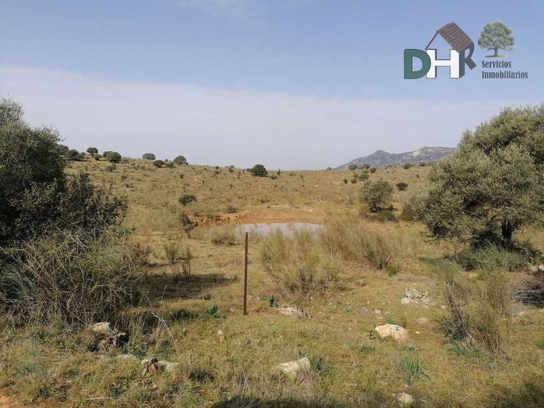 Terreno a Badajoz, Estremadura, Spagna 2 - 13111438