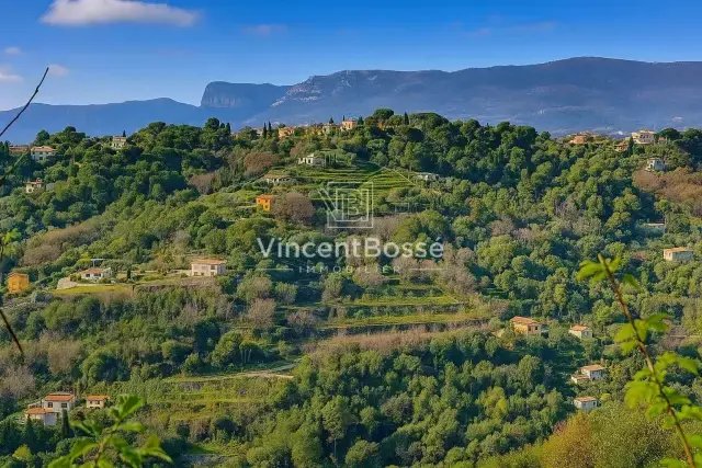 Land in Liberation, Nice, France 2 - 15663714