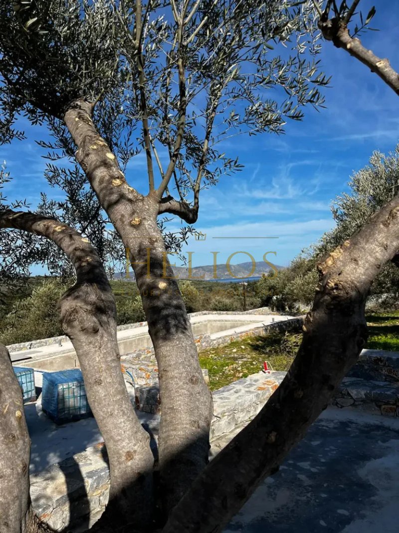 Villa in Crete, Greece 5 - 16475449