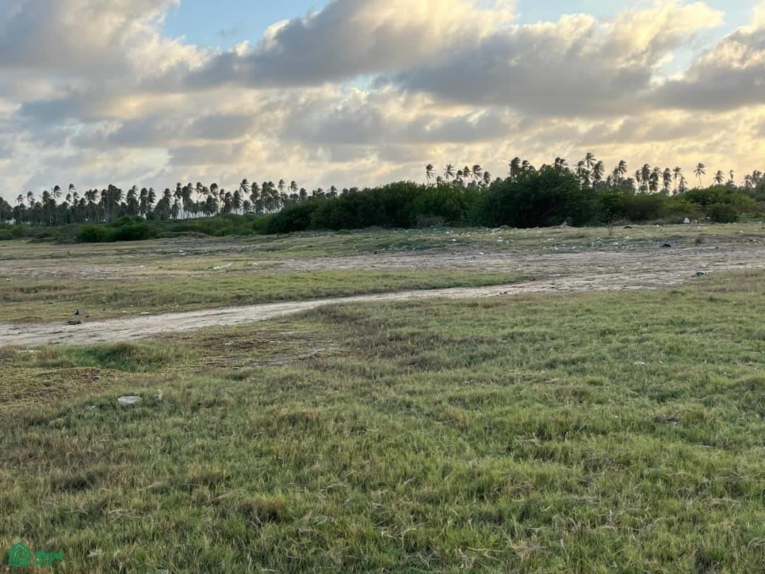 Land in Chichiriviche, Falcón, Venezuela 4 - 17815223