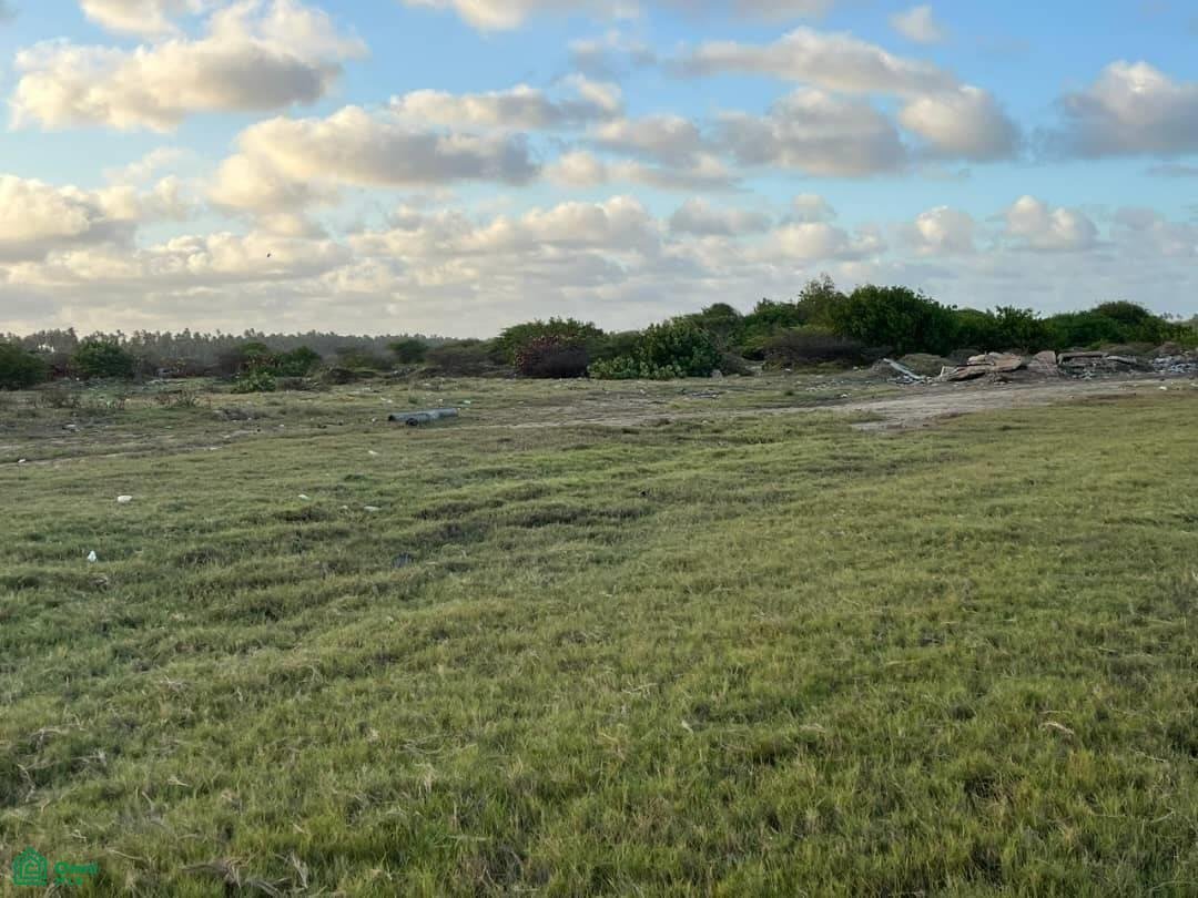 Land in Chichiriviche, Falcón, Venezuela 5 - 17815223