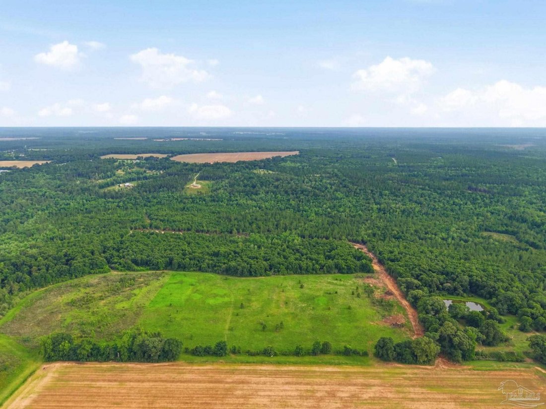 Land in Jay, Florida, United States 3 - 18619863
