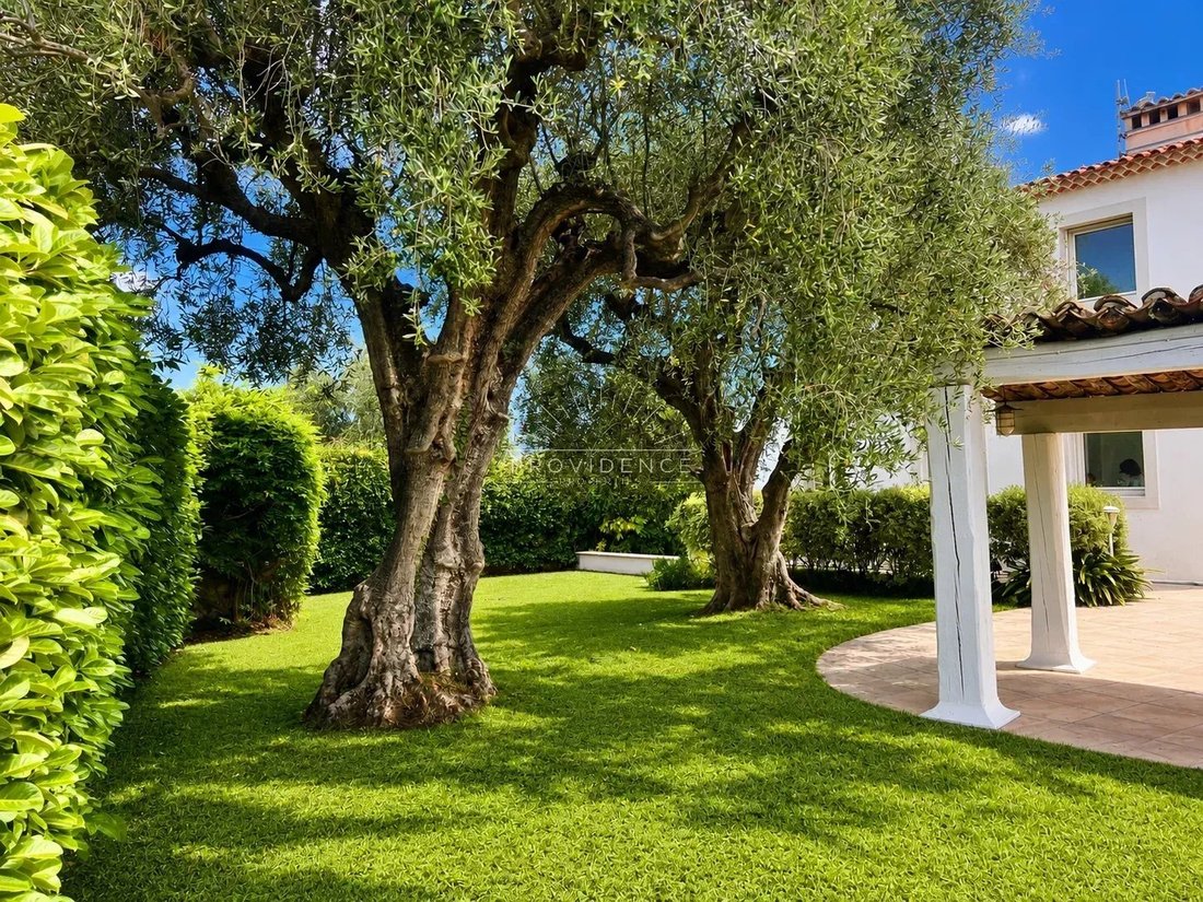 House in Cannes, Provence-Alpes-Côte d'Azur, France 1 - 18622435
