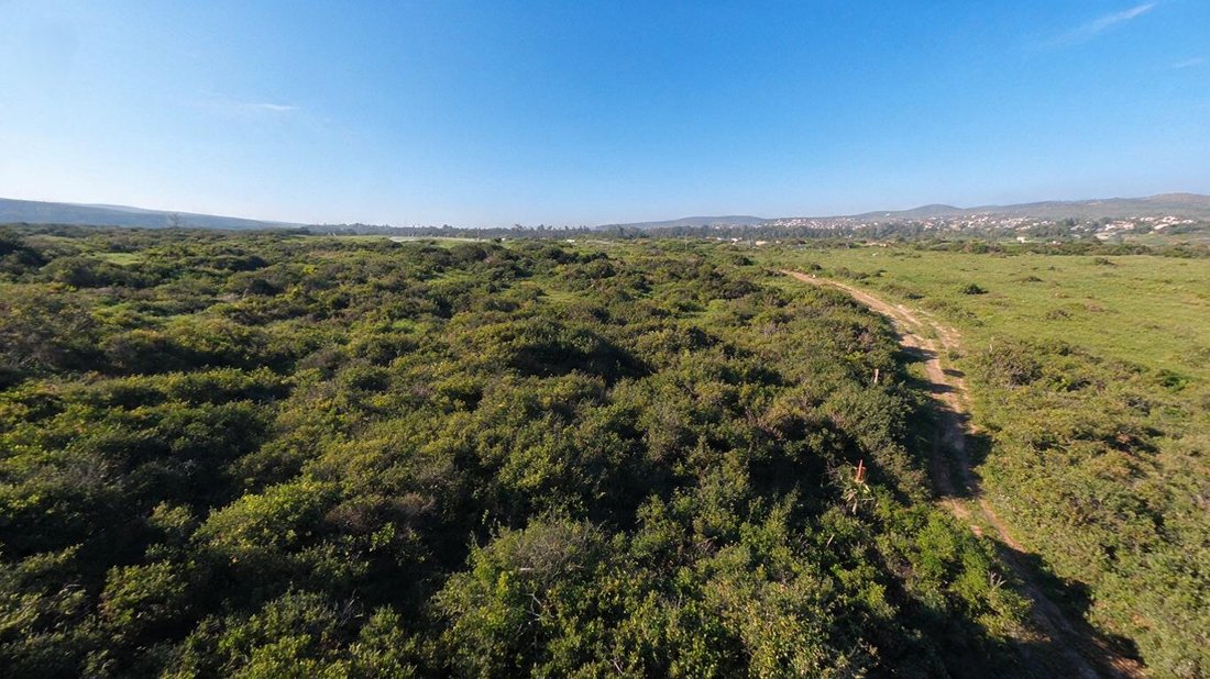 Farm Ranch in Gqeberha, Eastern Cape, South Africa 2 - 18618013