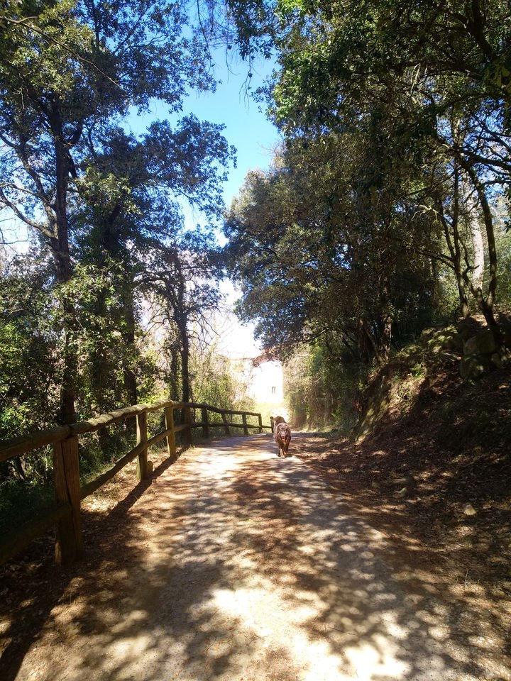 Finca in Banyoles (District), Banyoles, Spain 5 - 18351170