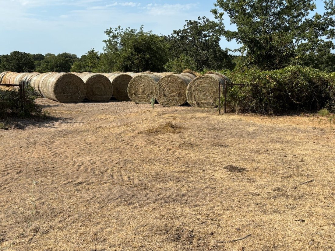 Farm Ranch in Forestburg, Texas, United States 5 - 18618803