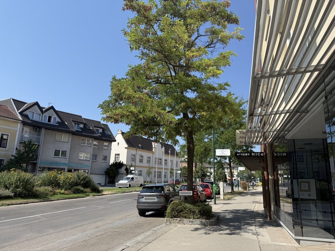 Apartment in Mödling, Lower Austria, Austria 3 - 18620660