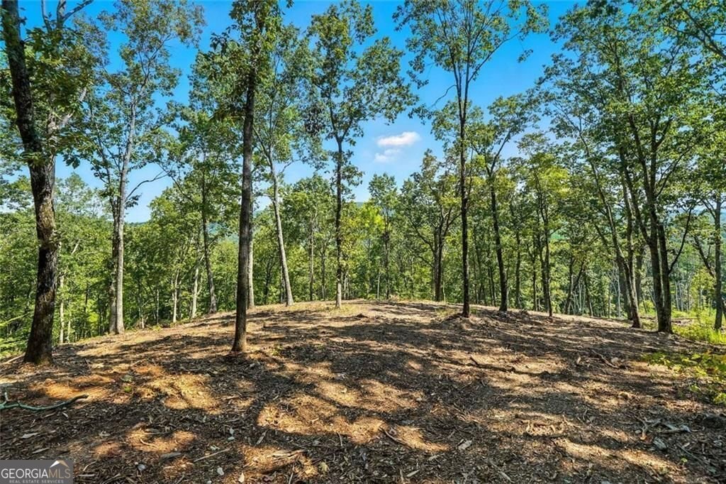 Land in Waleska, Georgia, United States 1 - 16110644